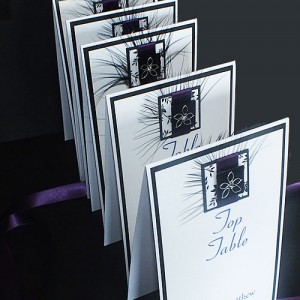 Eden Table Name or Number Cards